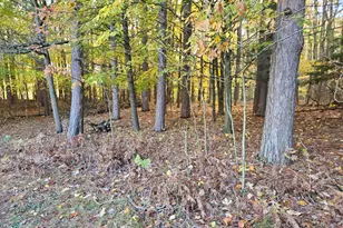 7040 Holly Dr, West Olive, MI 49460 - Photo 49