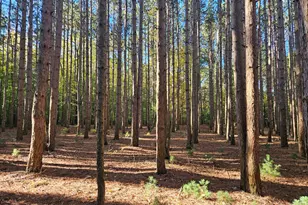 7040 Holly Dr, West Olive, MI 49460 - Photo 53