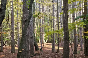 7040 Holly Dr, West Olive, MI 49460 - Photo 63