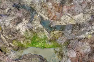 4705 Whig Hwy, Clayton, MI 49235 - Photo 59