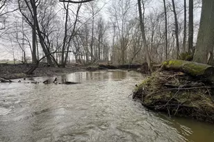 4705 Whig Hwy, Clayton, MI 49235 - Photo 77