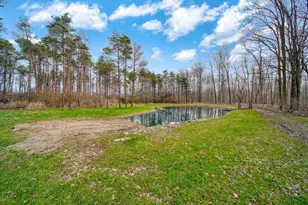 4705 Whig Hwy, Clayton, MI 49235 - Photo 47