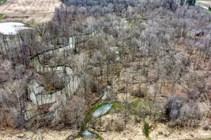 4705 Whig Hwy, Clayton, MI 49235 - Photo 63