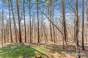 3140 Riverwoods Dr NE, Rockford, MI 49341 - Photo 53