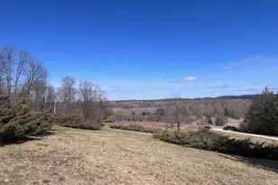 8903 Maidens Rd, Bear Lake, MI 49614 - Photo 7