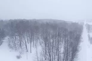 8903 Maidens Rd, Bear Lake, MI 49614 - Photo 19