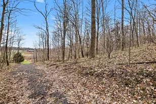 19579 Dutch Settlement St, Cassopolis, MI 49031 - Photo 5