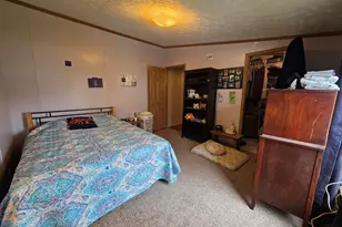 219 Circle Dr, Fremont, MI 49412 - Photo 15