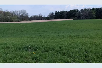 V/L M-50, Brooklyn, MI 49230 - Photo 11