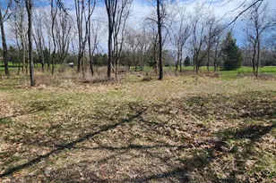 Vl Cross Rd, Horton, MI 49246 - Photo 1