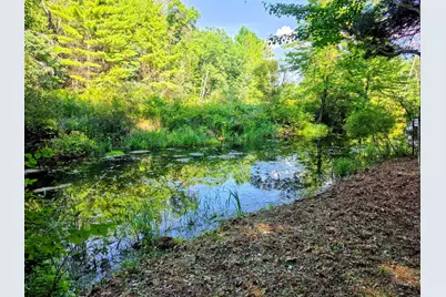 00 W Wilmas Way, Baldwin, MI 49304 - Photo 1
