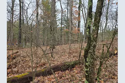 00 W Wilmas Way, Baldwin, MI 49304 - Photo 3