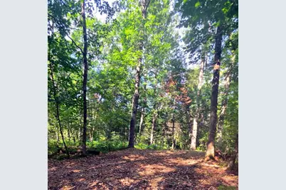 00 W Wilmas Way, Baldwin, MI 49304 - Photo 3
