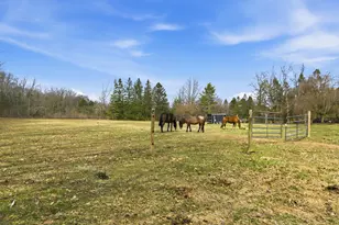 58765 Travis Rd, New Hudson, MI 48165 - Photo 29