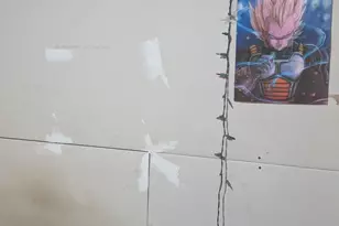 9941 Pinehurst Ave, Detroit, MI 48204 - Photo 5