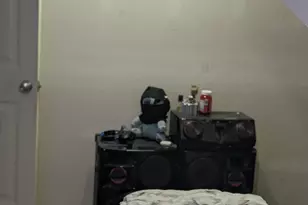 9941 Pinehurst Ave, Detroit, MI 48204 - Photo 29