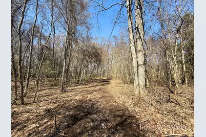 V/L 34.7 Blue Star Hwy, South Haven, MI 49090 - Photo 13