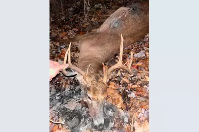 V/L 34.7 Blue Star Hwy, South Haven, MI 49090 - Photo 49