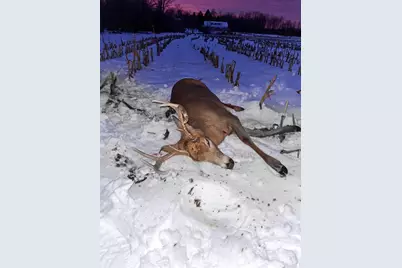 V/L 34.7 Blue Star Hwy, South Haven, MI 49090 - Photo 45