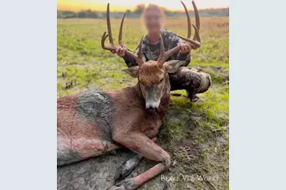 V/L 34.7 Blue Star Hwy, South Haven, MI 49090 - Photo 5