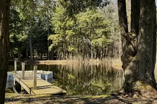 4786 Red Apple Rd, Manistee, MI 49660 - Photo 41