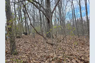 Vl 8th Avenue, Grand Junction, MI 49056 - Photo 9