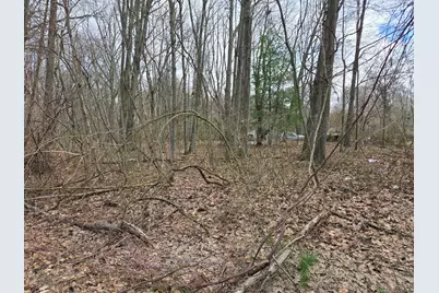 Vl 8th Avenue, Grand Junction, MI 49056 - Photo 15