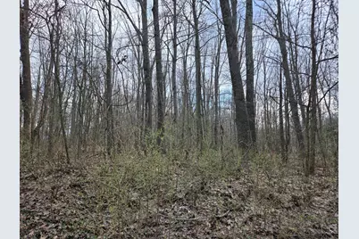 Vl 8th Avenue, Grand Junction, MI 49056 - Photo 17