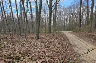 Vl 8th Ave, Grand Junction, MI 49056 - Photo 1