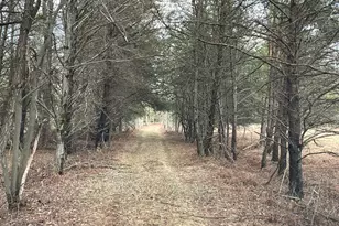 617 N Croswell Ave, White Cloud, MI 49349 - Photo 39