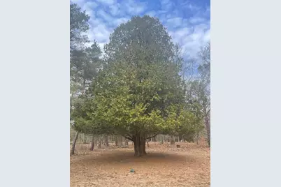 617 N Croswell Avenue, White Cloud, MI 49349 - Photo 17