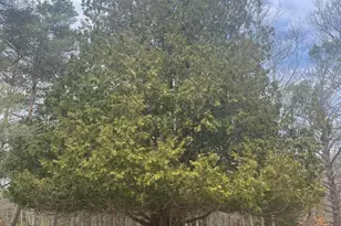 617 N Croswell Ave, White Cloud, MI 49349 - Photo 17