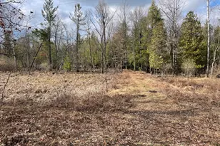 617 N Croswell Ave, White Cloud, MI 49349 - Photo 53