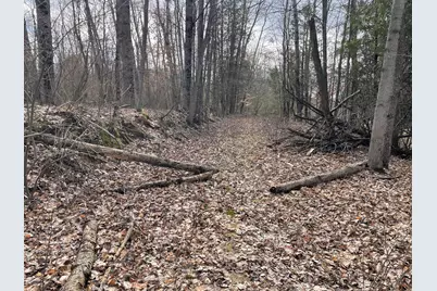 617 N Croswell Avenue, White Cloud, MI 49349 - Photo 49