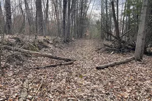 617 N Croswell Ave, White Cloud, MI 49349 - Photo 49