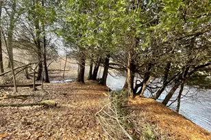 617 N Croswell Ave, White Cloud, MI 49349 - Photo 51