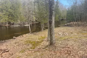 617 N Croswell Ave, White Cloud, MI 49349 - Photo 3