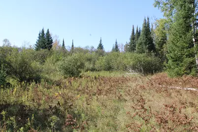 9850 Elevere Road, Lachine, MI 49753 - Photo 67