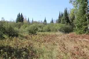 9850 Elevere Rd, Lachine, MI 49753 - Photo 67