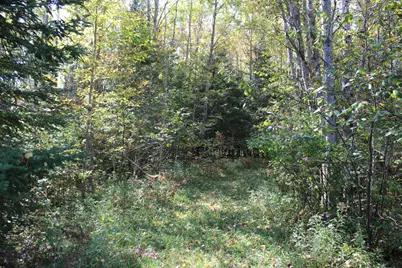 9850 Elevere Road, Lachine, MI 49753 - Photo 61