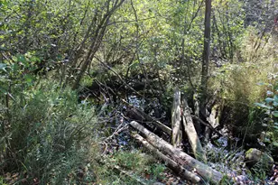 9850 Elevere Rd, Lachine, MI 49753 - Photo 65