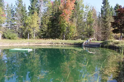 9850 Elevere Road, Lachine, MI 49753 - Photo 55