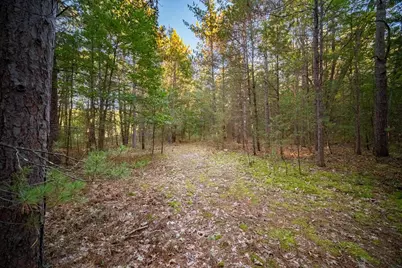 North Wildwood Road, Manistee, MI 49660 - Photo 3