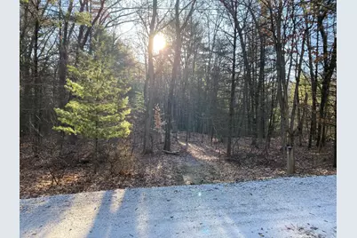 Vl Mill Pond Trail, Whitehall, MI 49461 - Photo 13