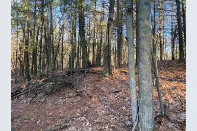 Vl Mill Pond Trail, Whitehall, MI 49461 - Photo 11