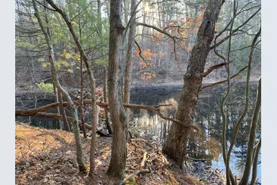 Vl Mill Pond Trail, Whitehall, MI 49461 - Photo 5
