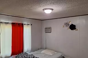 2830 Hayes Rd, Muir, MI 48860 - Photo 11