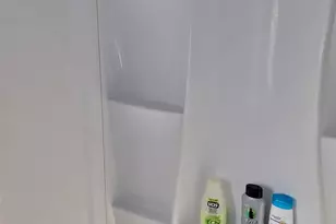 2830 Hayes Rd, Muir, MI 48860 - Photo 9