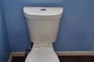 2830 Hayes Rd, Muir, MI 48860 - Photo 15