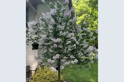 5135 Moscow Road, Spring Arbor, MI 49283 - Photo 59